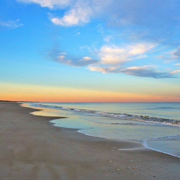 Meet your Posher, Michelle - Picture 1 of 1